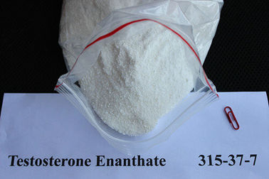 Chiny Bezpieczny anaboliczny testosteron Enanthate Surowce farmaceutyczne Surowiec CAS 315-37-7 dostawca