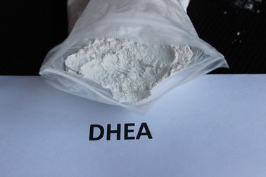 Chiny Anti Aging Dehydroepiandrosterone / DHEA Surowe proszki steroidowe Surowce farmaceutyczne dostawca