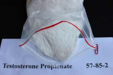 Chiny Testosteron Propionate 57-85-2 Natural Legal Muscle Building Proszek dla mężczyzn dostawca